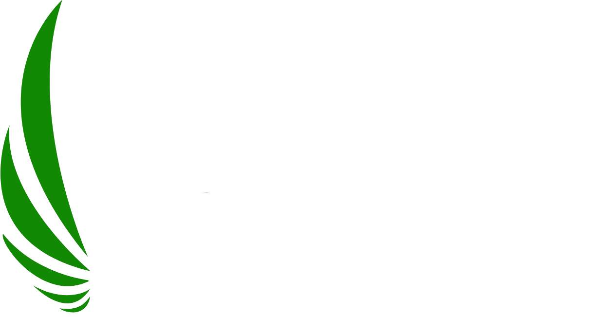 FalcoElectra
